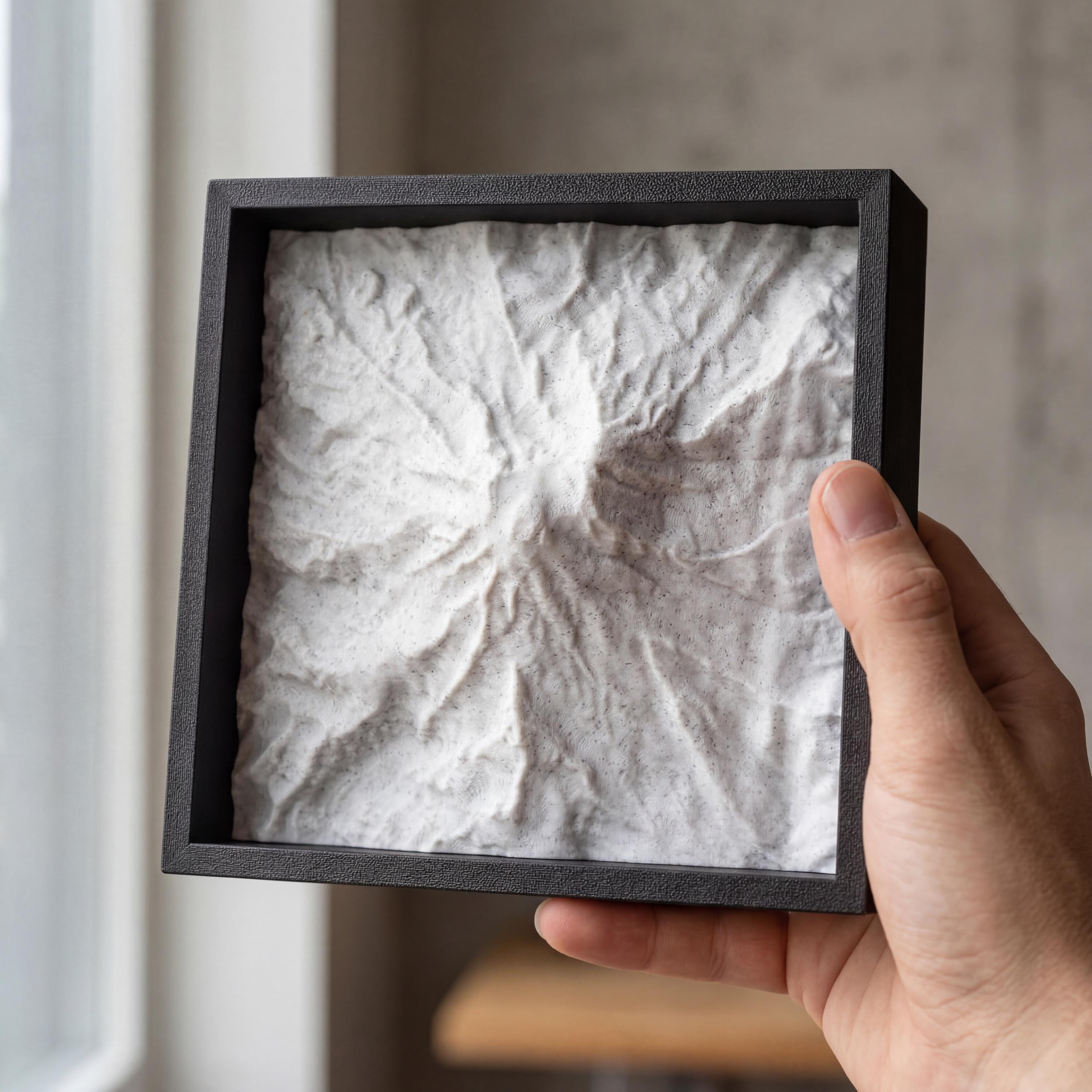 Mount Rainier Terrain Relief