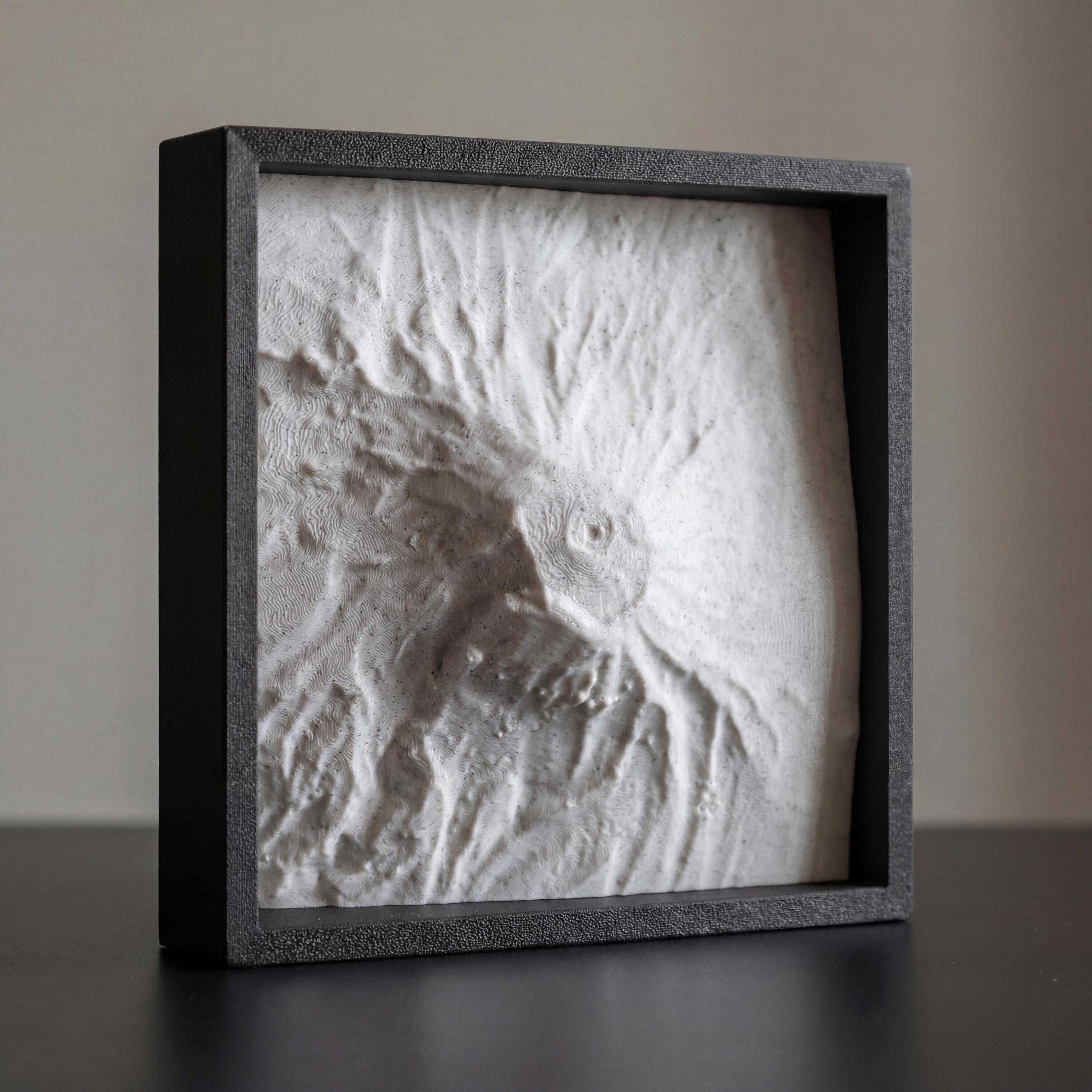 Mt. Kilimanjaro Terrain Relief