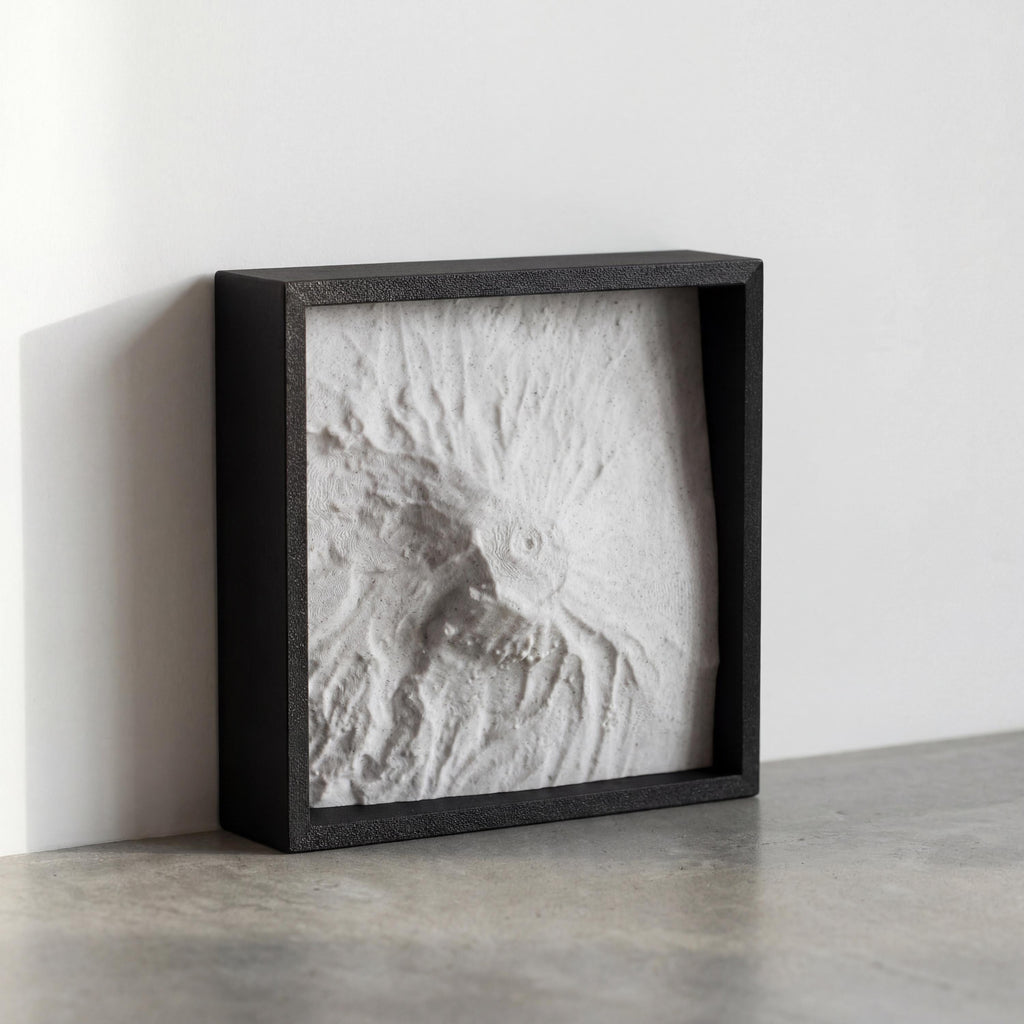 Mt. Kilimanjaro Terrain Relief