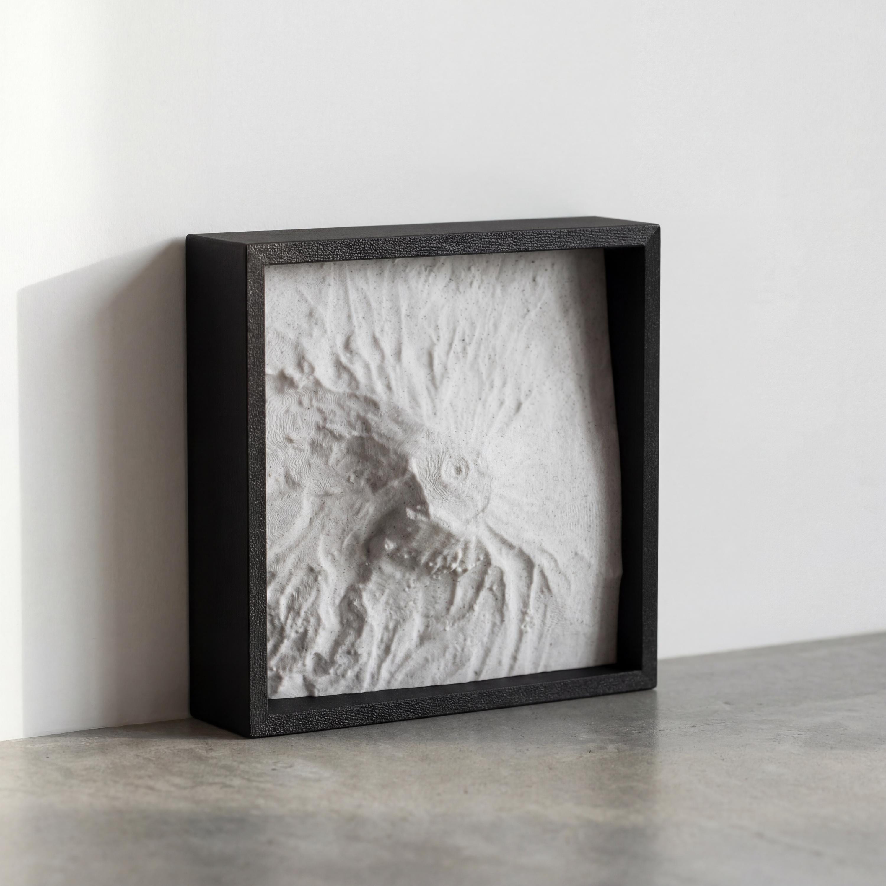 Mt. Kilimanjaro Terrain Relief