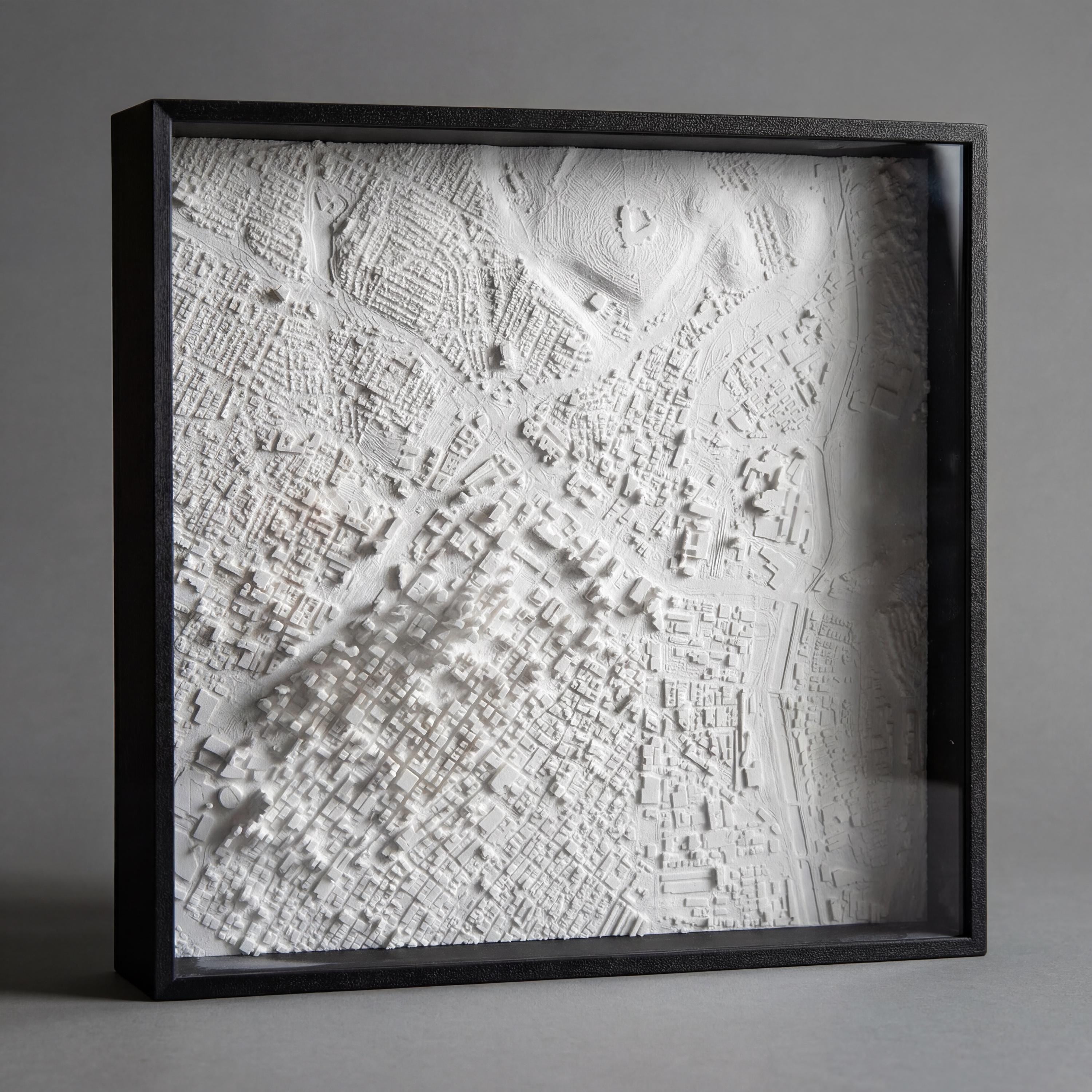 Los Angeles City Relief (1:20,000)