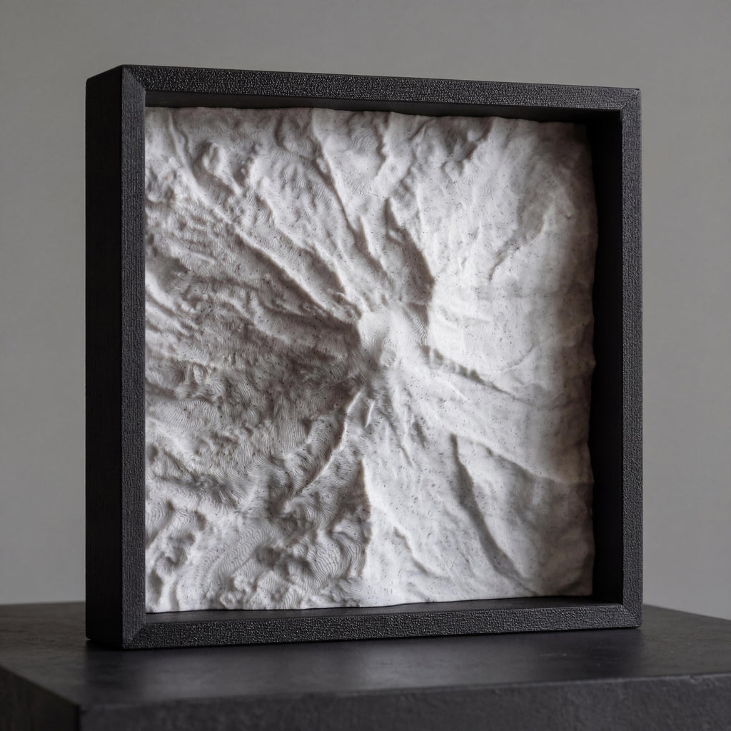 Mount Rainier Terrain Relief