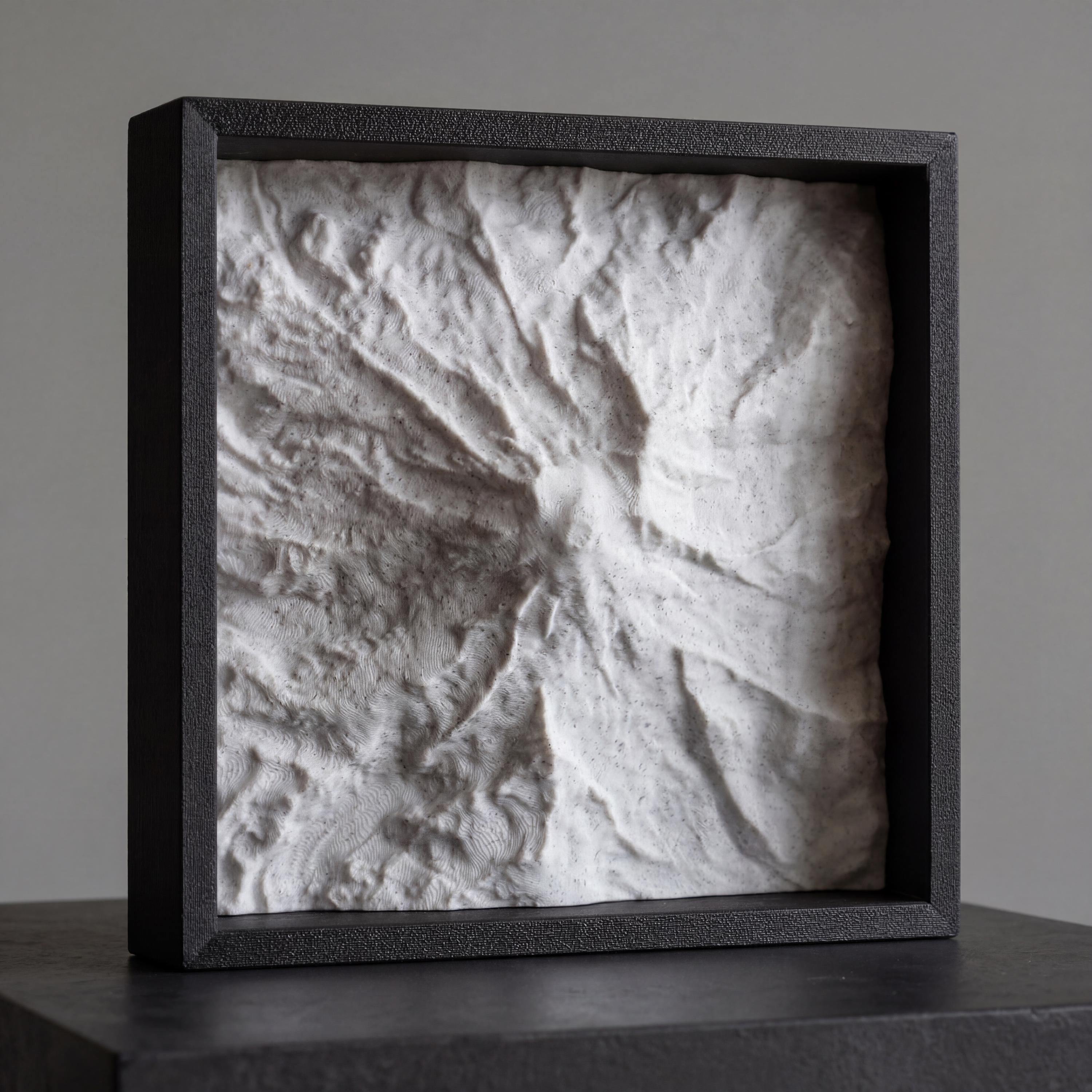 Mount Rainier Terrain Relief