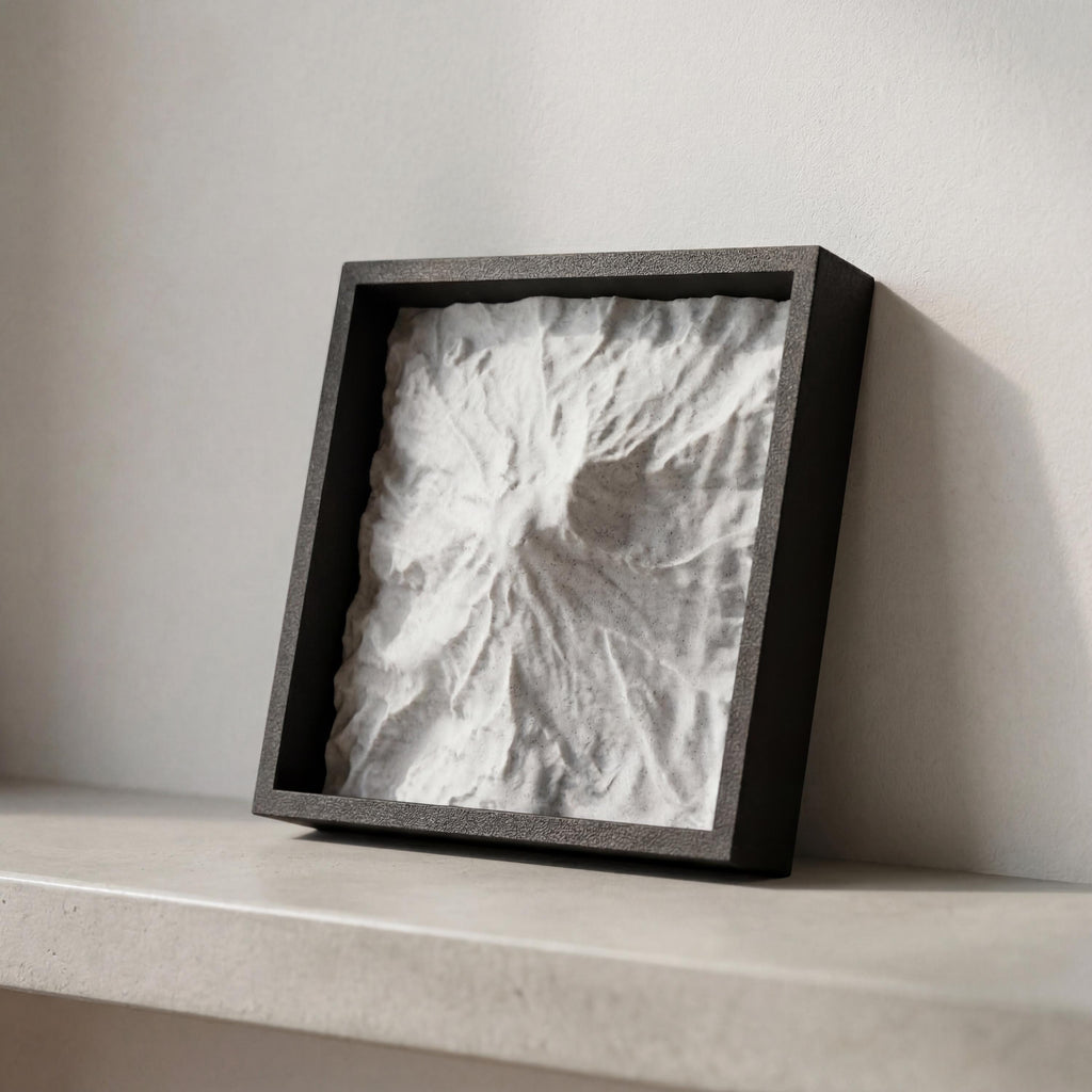 Mount Rainier Terrain Relief