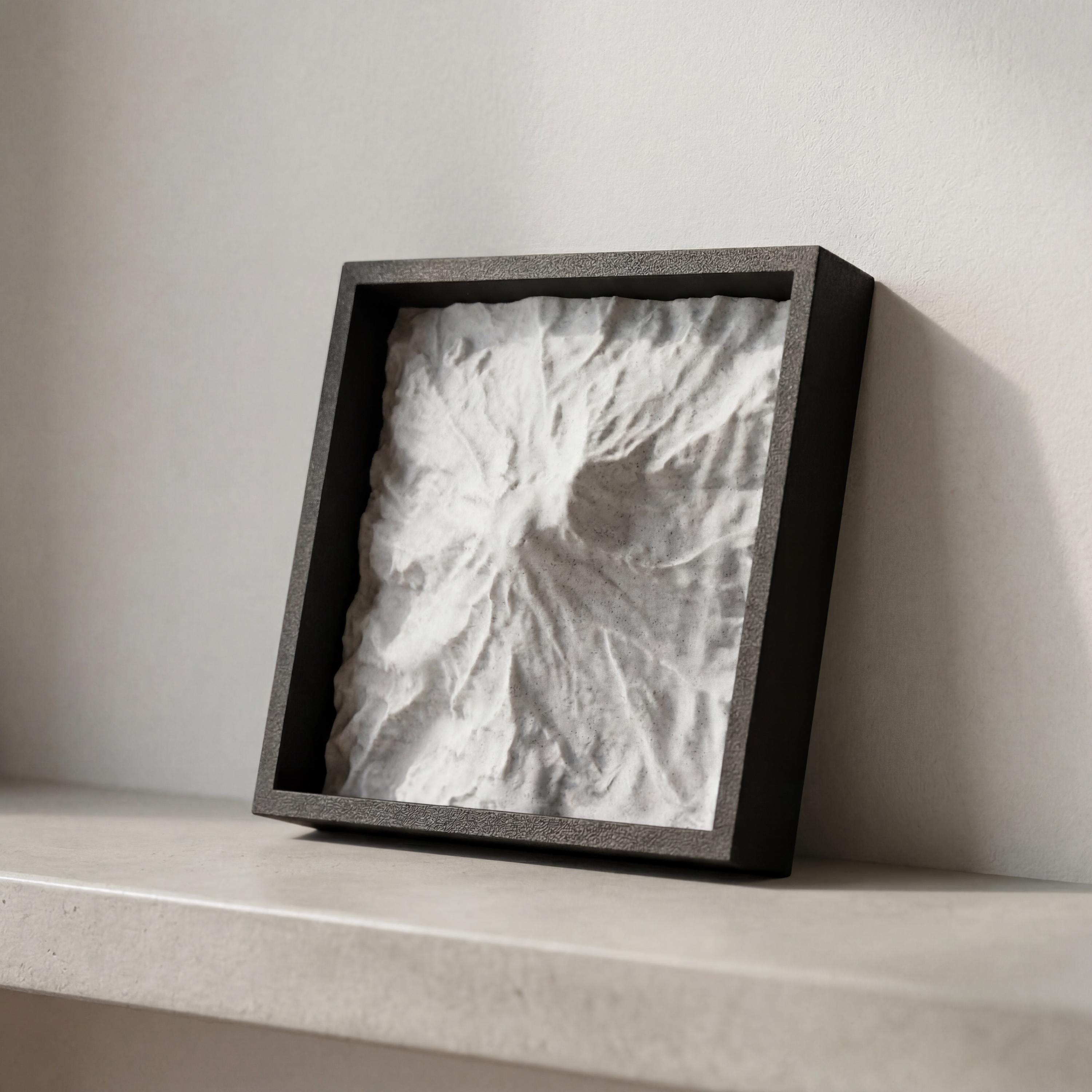 Mount Rainier Terrain Relief