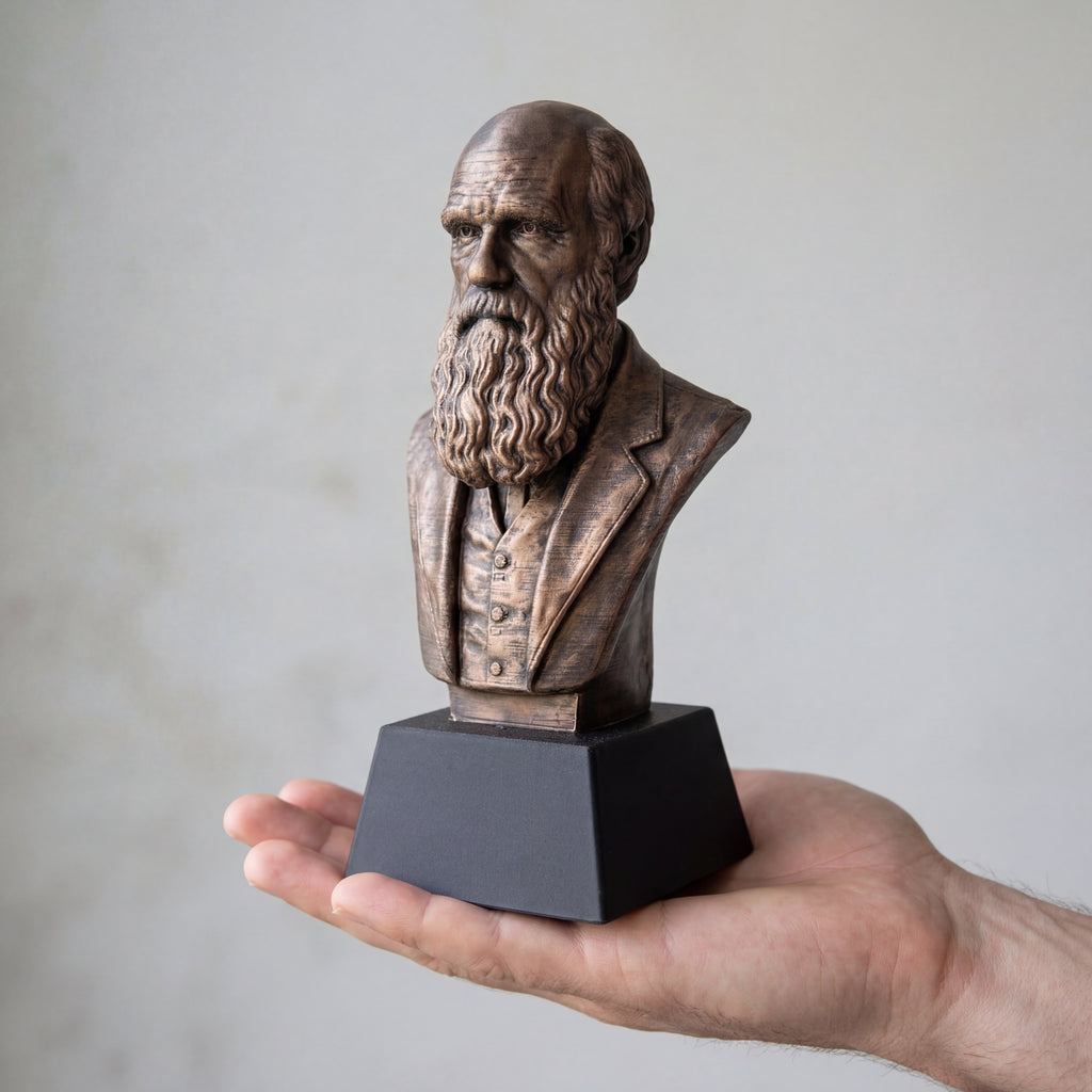 Charles Darwin Bust