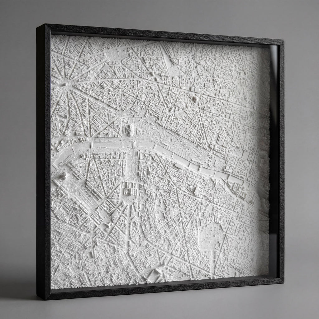 Paris City Relief (1:20,000)