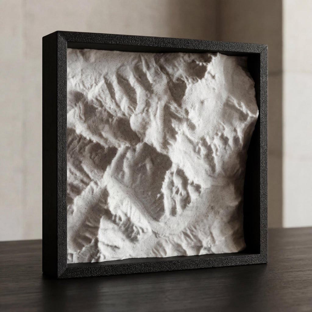 Mont Blanc Terrain Relief