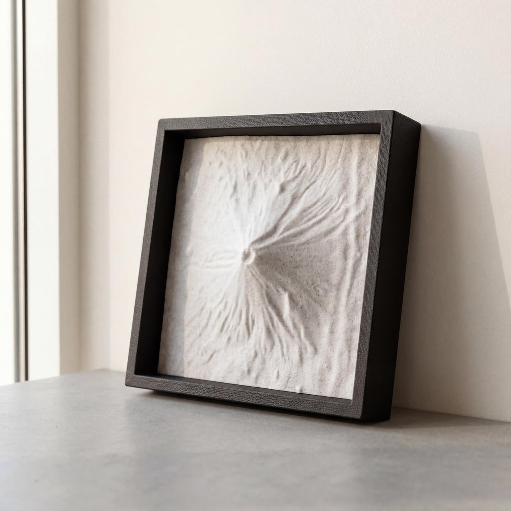 Mount Fuji Terrain Relief