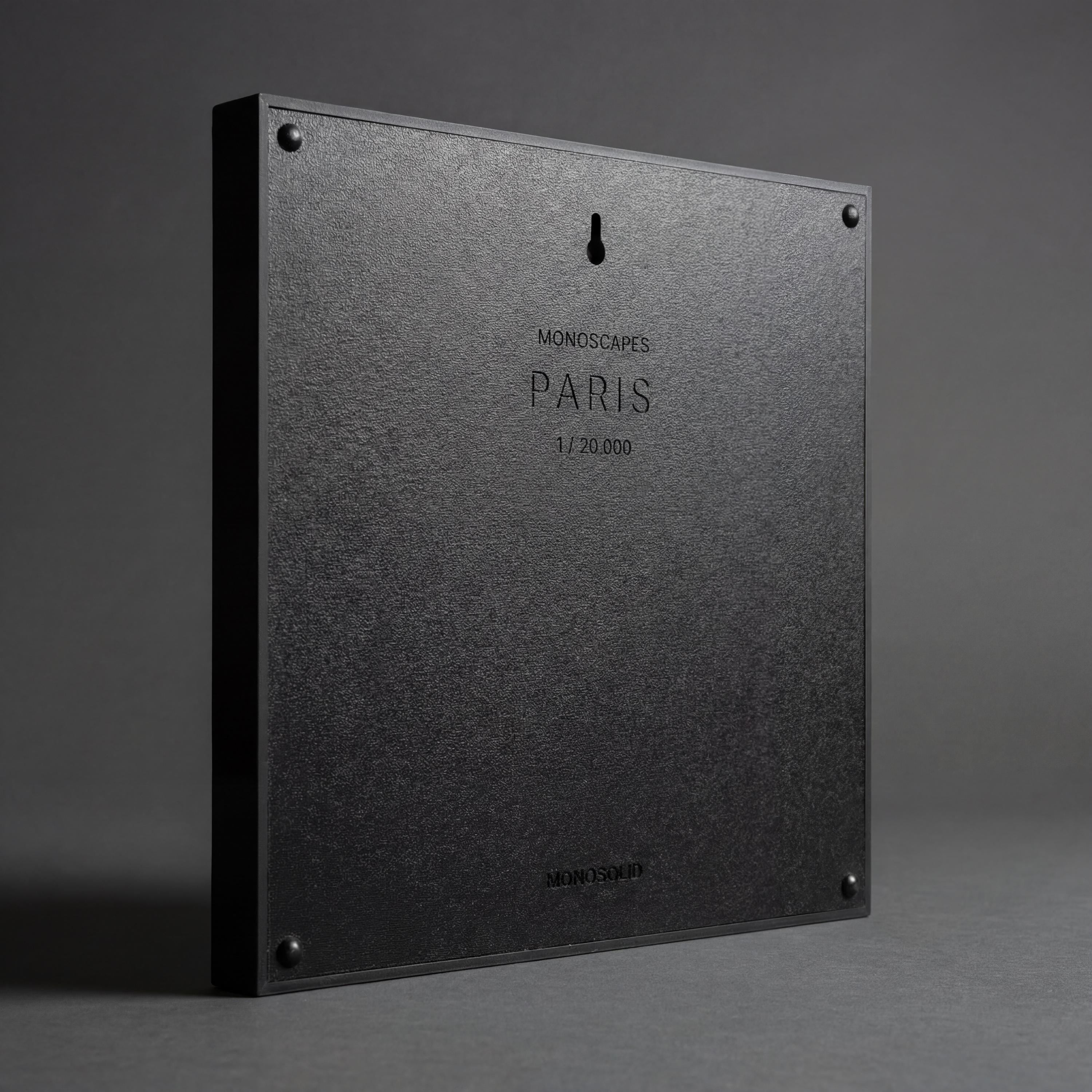 Paris City Relief (1:20,000)